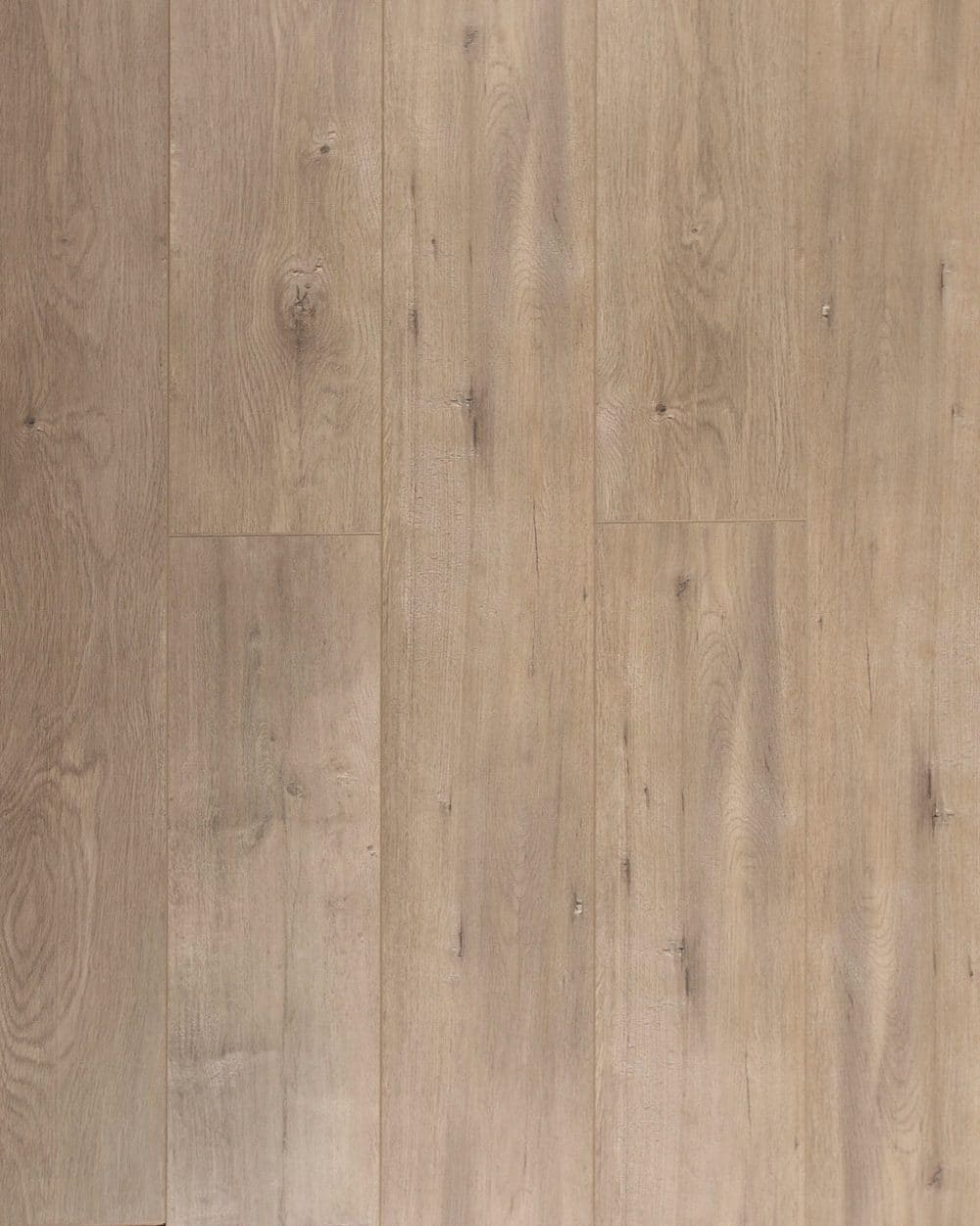 beach-house-captiva-oak-8-mm-laminate-floor